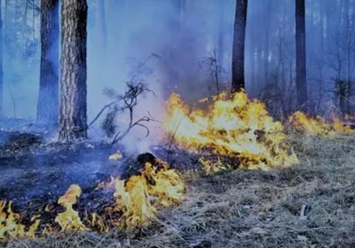 Risques d'incendies dans le Sud